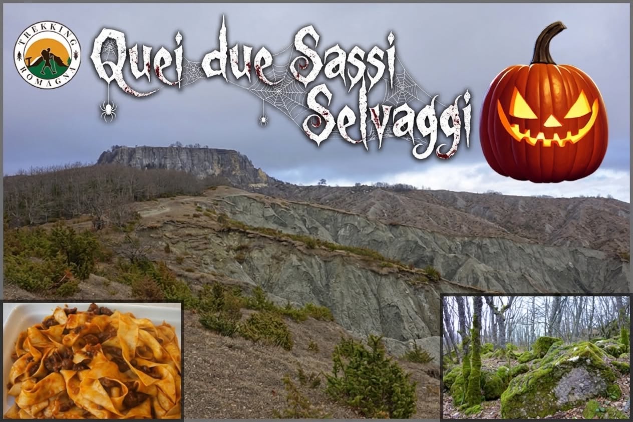 2026.11.1 sassi selvaggi